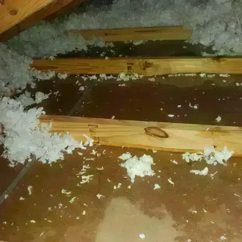 Attic Water Damage in Salem, WI