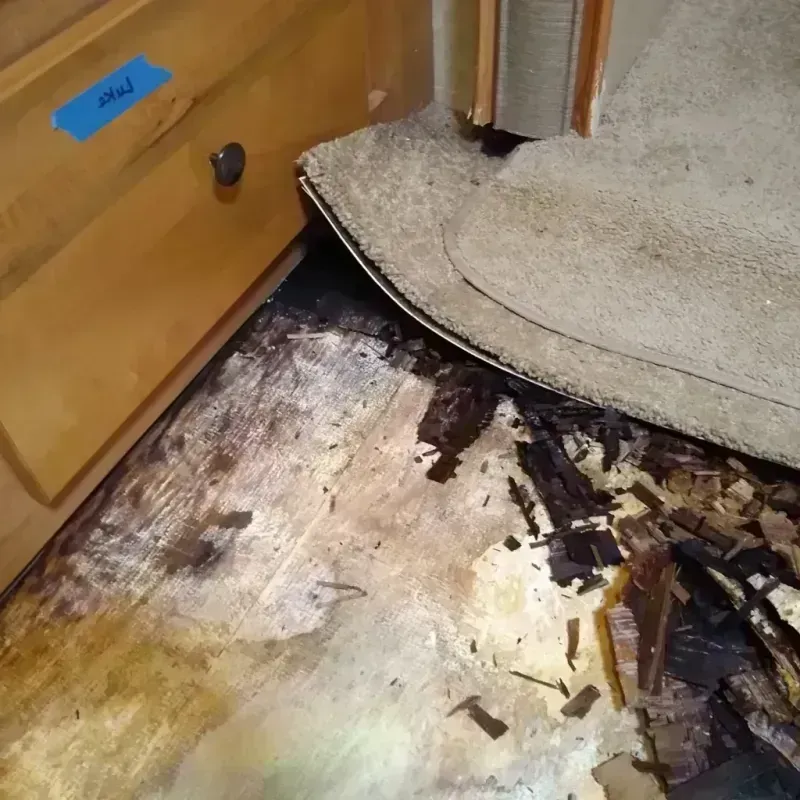 Wood Floor Water Damage in Salem, WI